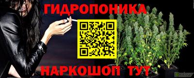 молекула духа Гусиноозёрск