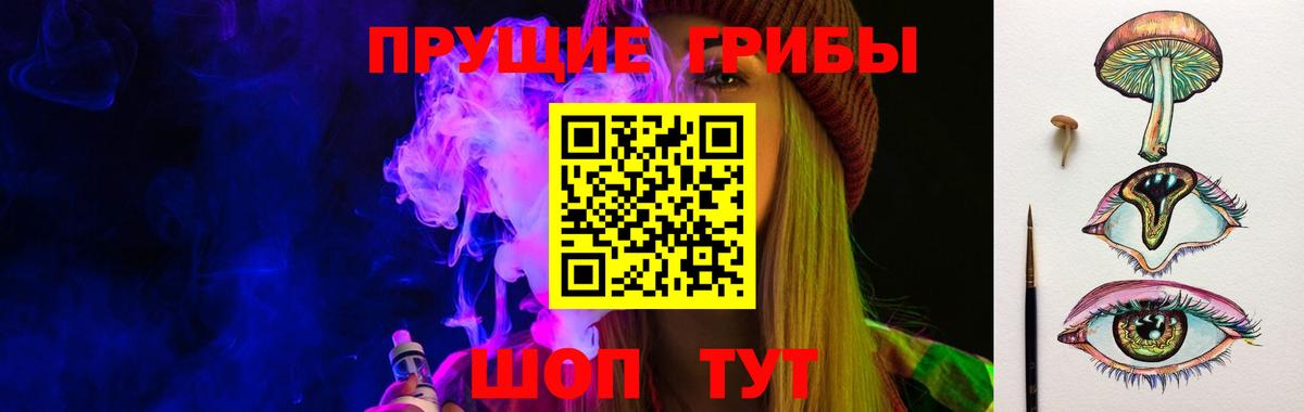 купить закладку  Галлюциногенные грибы GOLDEN TEACHER  Вход с VPN  Галлюциногенные грибы мицелий  Щёлково 